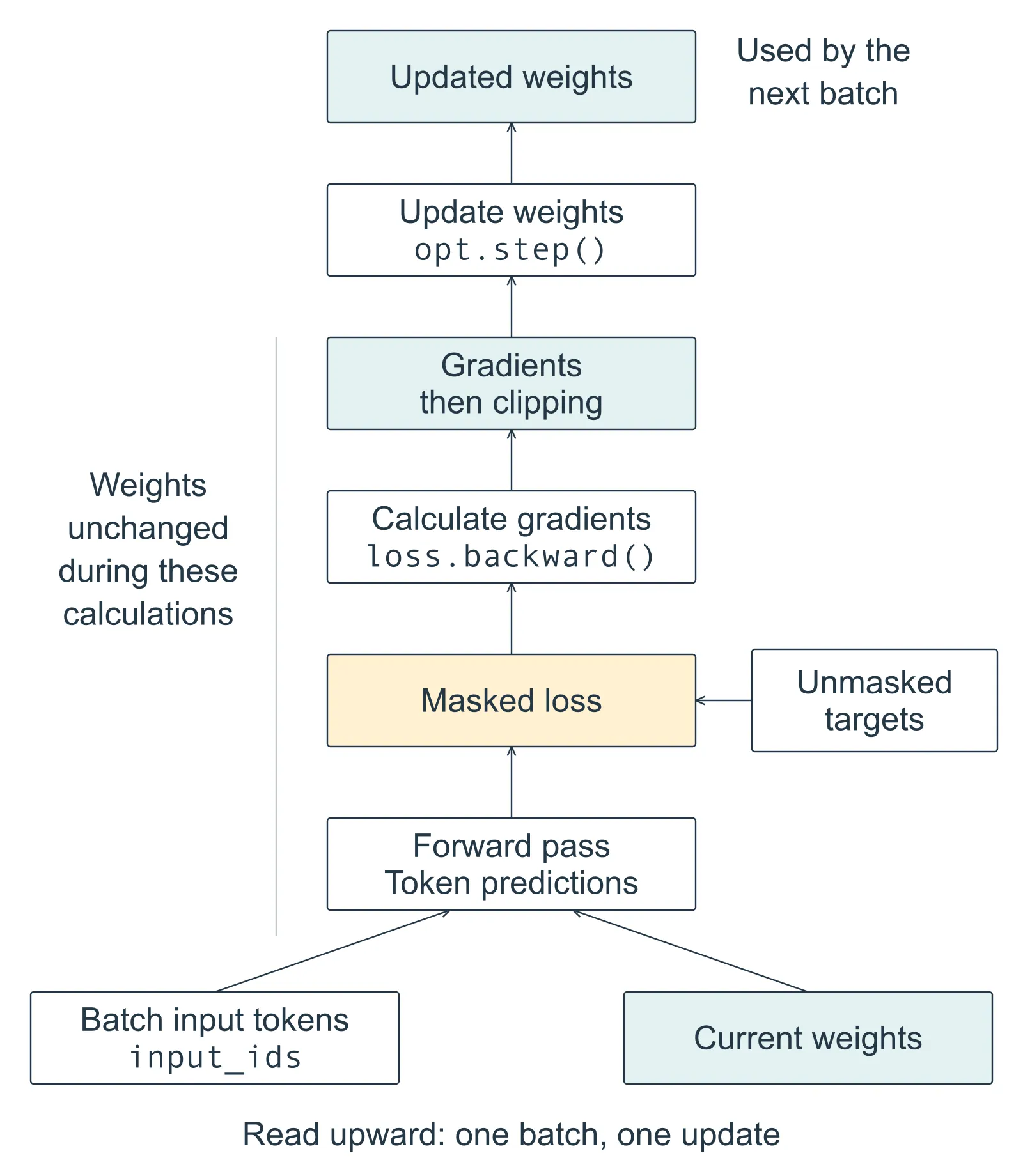 Read upward. Batch input tokens and current weights enter the forward pass. Predictions and unmasked targets meet at the loss. Backward calculates gradients, which are clipped before the optimizer updates the weights. Weights stay unchanged during forward and backward; the next batch uses the updated weights.